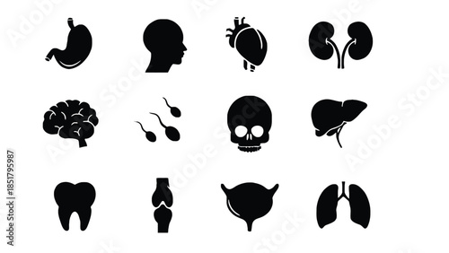 A collection of black medical organ icons on a white background.