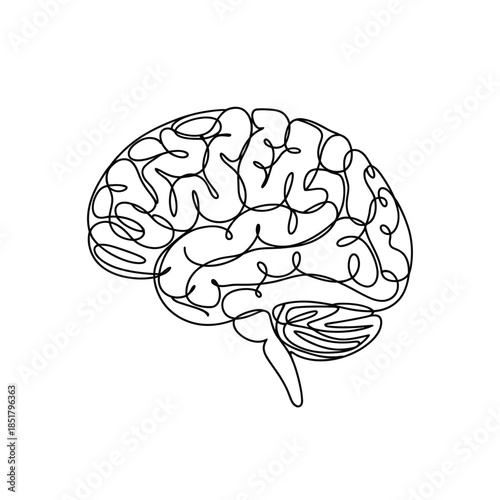 Detailed line art illustration of a human brain in a side view