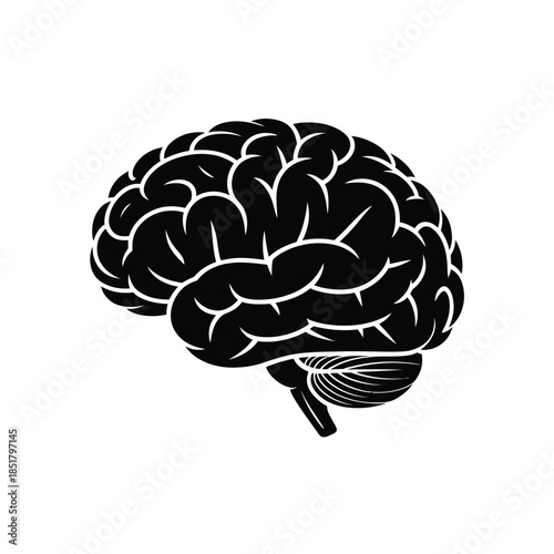 Detailed illustration of a human brain showcasing its complex structure