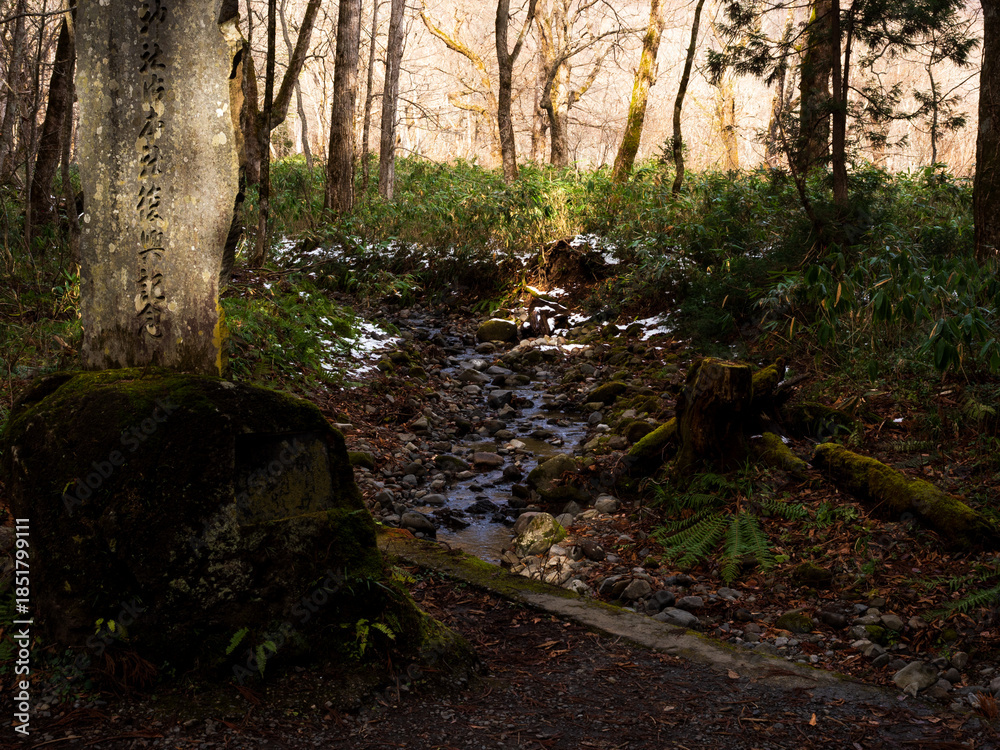 Naklejka premium 戸隠 山中風景