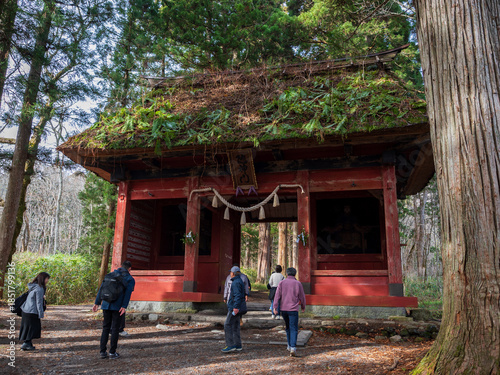 戸隠　山中風景