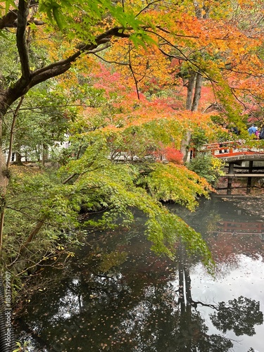 鶴岡八幡宮の池