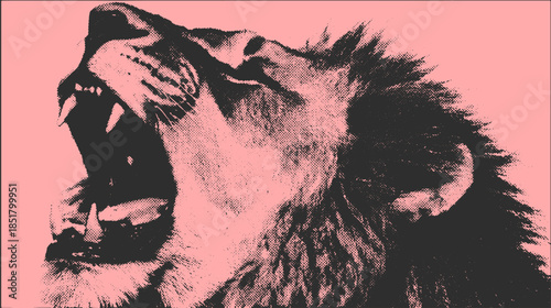 Lion roaring in a bold artistic style. Detailed vector illustration in black and pink tones with an expressive face design.