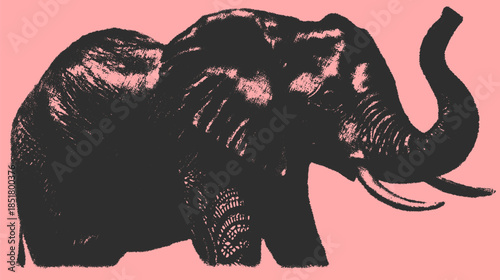 Elephant graphic illustration in bold black on a pink background. Unique vector design showcasing wildlife and mammal attributes.