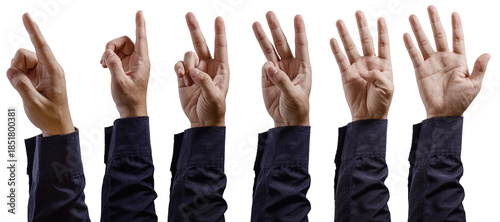 Human Hands Counting from One to Five with Finger Gestures. Human Arm Set Background. High quality photo