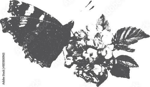 Butterfly and flower illustration in black and white. Detailed vector artwork featuring natural elements in a decorative set.