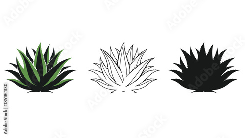 Three stylized depictions of an agave plant are shown.