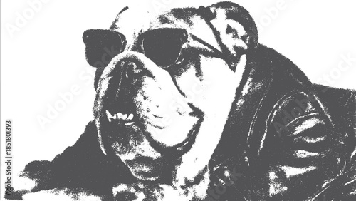 Bulldog wearing sunglasses in a cool vintage style. Black and white vector illustration of a pet character set with personality.