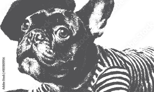 A black and white dog illustration featuring a French breed wearing a stylish striped jacket and hat. This is a vector illustration.