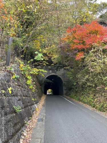 鎌倉のトンネル