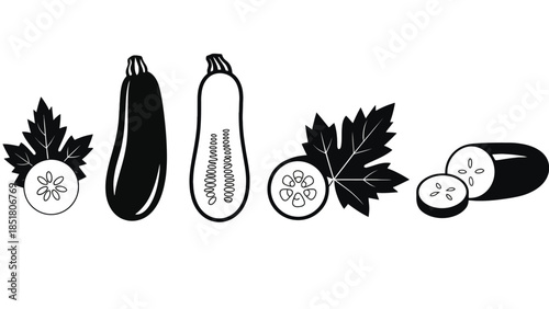 A collection of stylized zucchini and cucumber illustrations with leaves.
