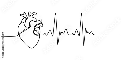 Heartbeat pulse line ending in a heart symbol vector illustration continuous one line drawing of an ECG rhythm and love sign minimalist black sketch, Electrocardiogram ecg or ekg waveform showing