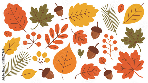 A beautiful collection of colorful autumn leaves, acorns, and berries