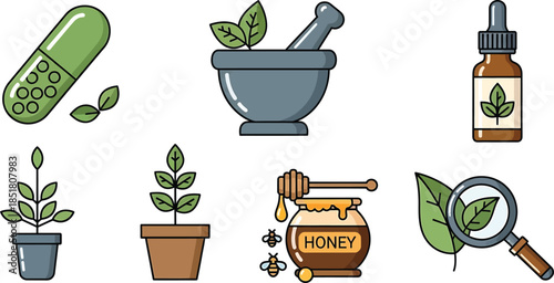 Herbal Medicine and Natural Remedies Icons Collection.