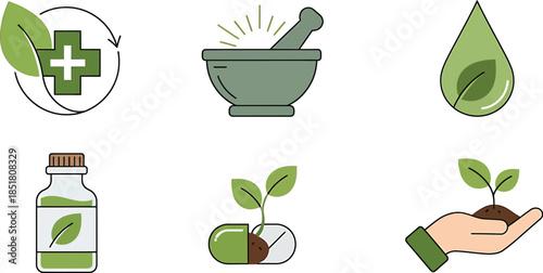 Collection of Natural Remedies and Herbal Medicine Icons in a Modern Flat Design