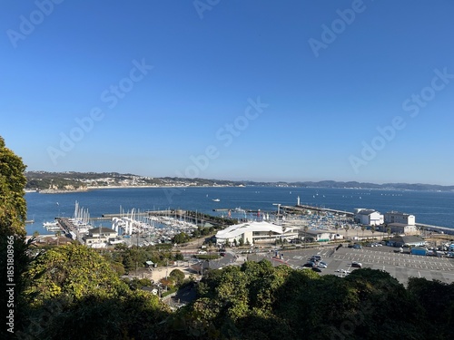 江の島から見た海