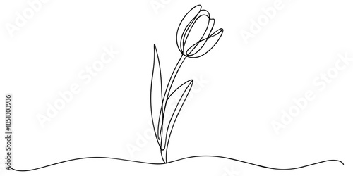 Minimalist tulip continuous line drawing icon symbol isolate design element, Tulip one line drawing. Abstract flower continuous line. Minimalist contour drawing of tulip. Continuous line drawing