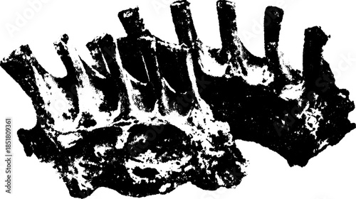 Antique engraving print. Vintage silhouette set of illustrations with intricate outline details, showcasing historical design elements in a traditional vector style.