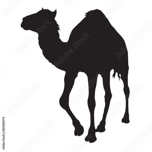 Black Camel Silhouette Set