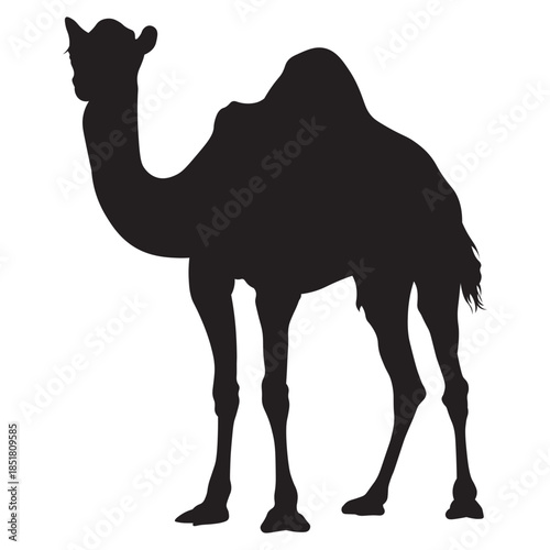 Black Camel Silhouette Set