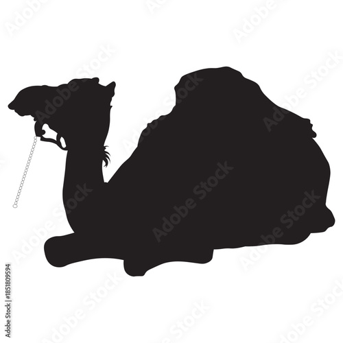 Black Camel Silhouette Set