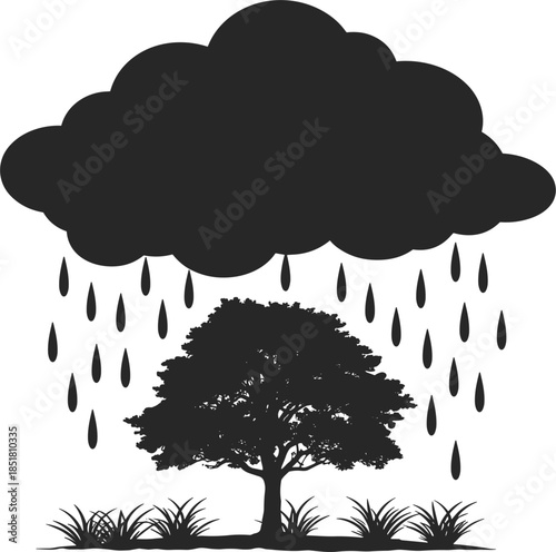 Silhouette of a Tree Under a Rain Cloud oak tree raining