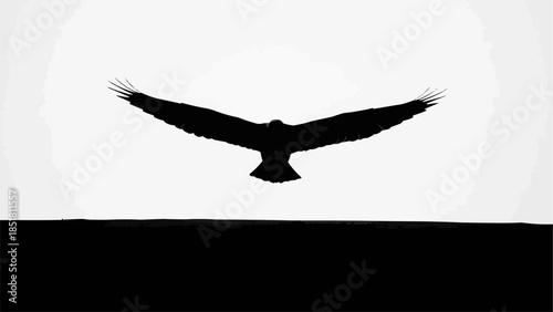 Silhouette of a majestic eagle soaring with wings spread wide against a stark white background.