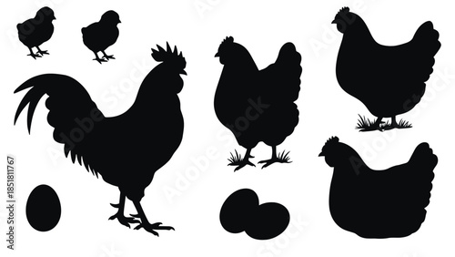 Silhouettes of a rooster, hens, chicks, and eggs on a white background.