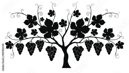 A silhouette of a grape vine with bunches of grapes and leaves adorns a tree.