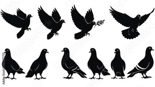 Silhouettes of pigeons and doves in various poses