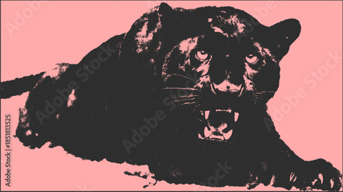 Fierce panther illustration with a bold black silhouette against a pink background. Distinctive vector art showcasing strength and elegance.