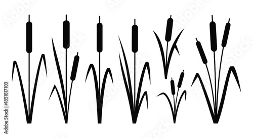 A simple illustration of black cattails and green blades of grass