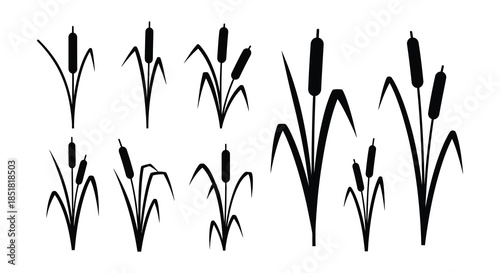 A simple illustration of black cattails and green blades of grass