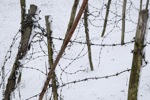 Fotografía Reconstructed barbed wire and wooden fence at Ploegsteert Wood