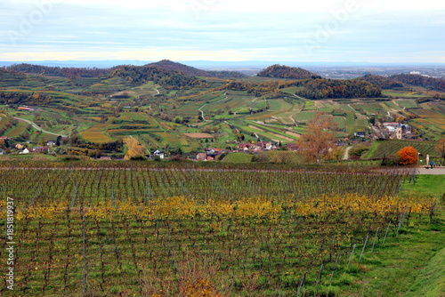 Herbstlandschaft bei Vogtsburg am Kaiserstuhl