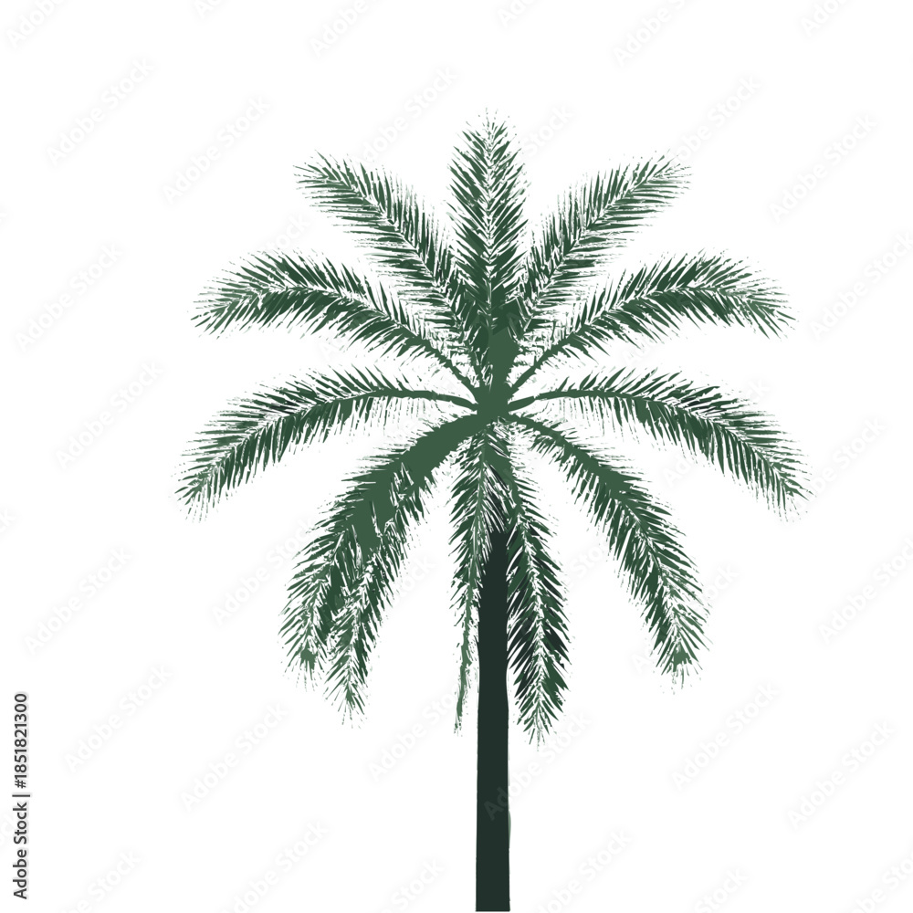 Naklejka premium palm tree isolated on white