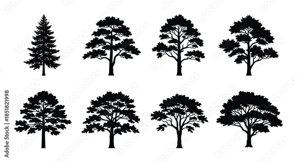 Fototapeta premium Silhouettes of various evergreen and deciduous trees against a white background