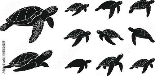 Sea turtle silhouette set, marine animal icons in different swimming poses, ocean wildlife vector illustration for nature conservation and aquatic environment design, isolated