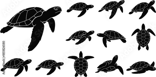 Sea turtle silhouette set, marine animal icons in different swimming poses, ocean wildlife vector illustration for nature conservation and aquatic environment design, isolated