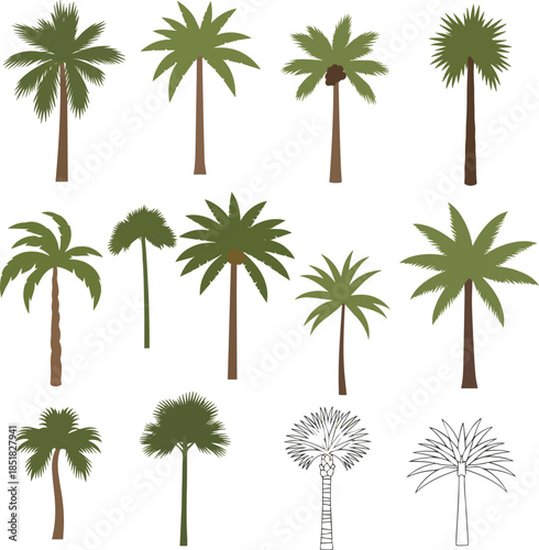 Create a set of palm tree vector art with white background.