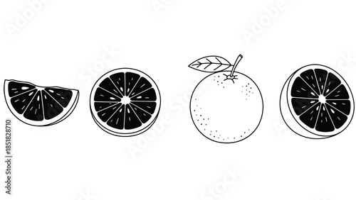 Black and white citrus fruit illustrations