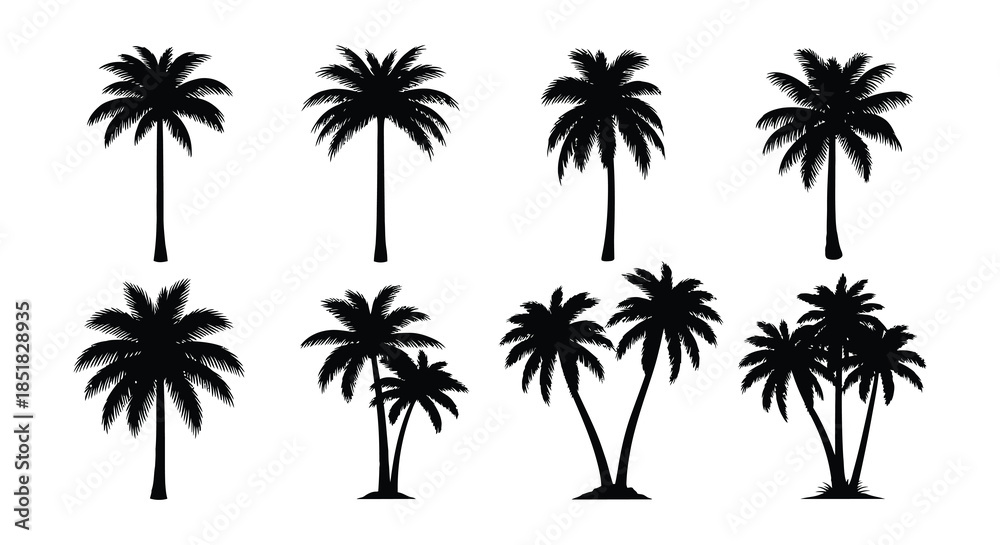 Fototapeta premium A collection of black silhouette palm trees in various shapes and sizes
