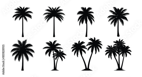 A collection of black silhouette palm trees in various shapes and sizes
