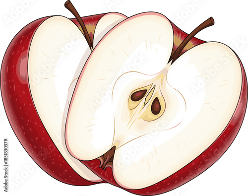 Create a vibrant red apple is precisely sliced into two halves, revealing its fresh inner core and seeds, Vector art with white background.