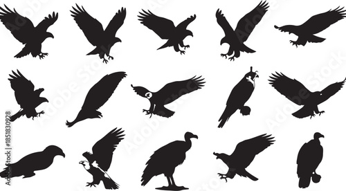 Collection of flying and perched raptor silhouettes