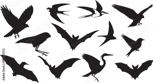 Collection of black bird and bat silhouettes
