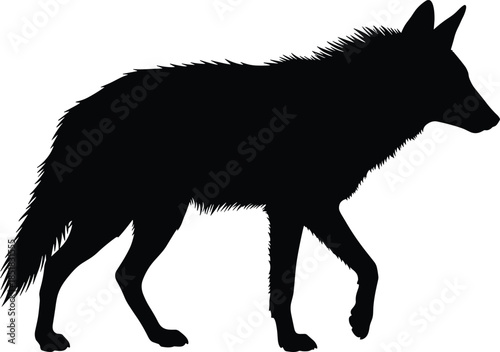 Silhouette of walking wolf, black and white illustration of wild canine in motion, fur texture, pointed ears, natural posture