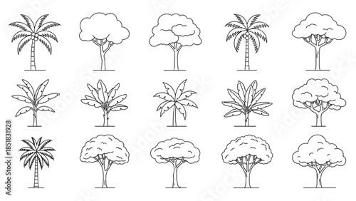 Collection of various tree illustrations in black and white, showcasing different species and foliage