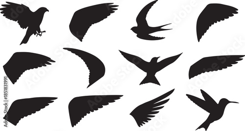 Collection of bird wing and silhouette vector icons