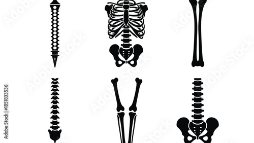 Human skeleton and bone illustrations in black